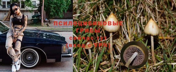 ECSTASY Бугульма